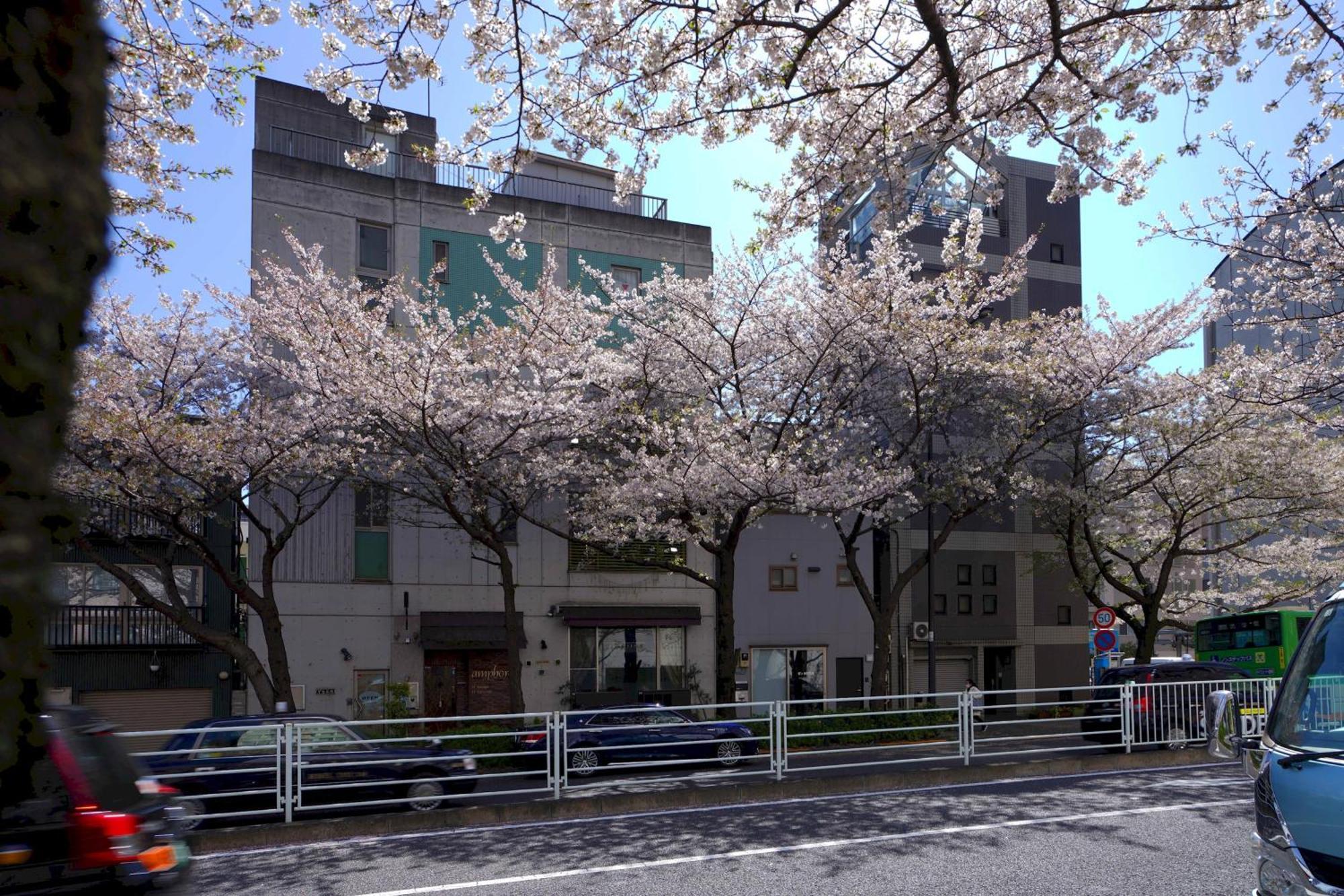 Penthouse 1-Bedroom Flat In Hiroo Shibuya Tokyo Ngoại thất bức ảnh
